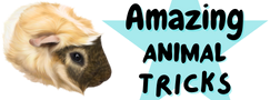 Amazing Animal Tricks logo