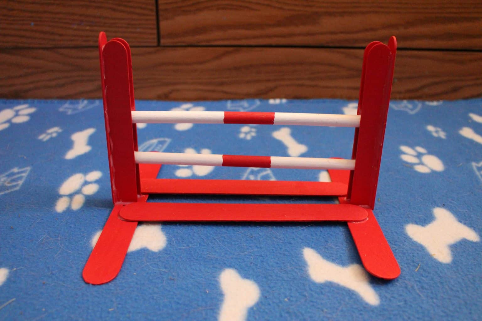 Guinea Pig Agility Equipment - Amazing Animal Tricks