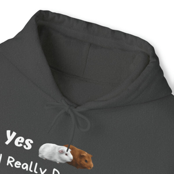 Yes I Really Do Need All These Guinea Pigs Hoodie - Image 18
