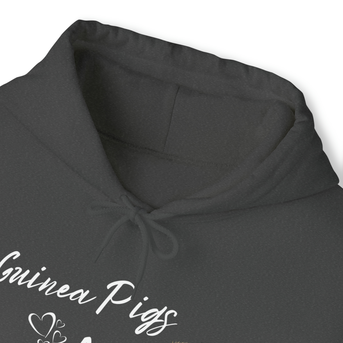 Guinea Pigs and Books Unisex Hoodie - Image 18