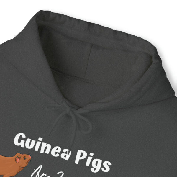 Guinea Pigs Are My Favorite People Unisex Hoodie - Image 18